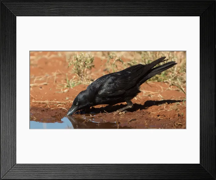 Framed Print : Picture No. 11992767 Framed Print : Picture No. 11992767