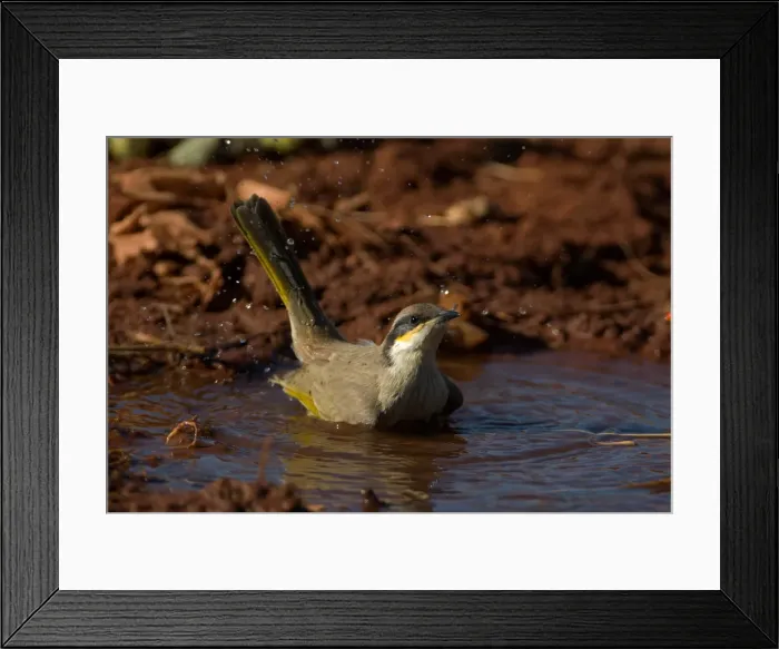 Framed Print : Picture No. 11992776 Framed Print : Picture No. 11992776