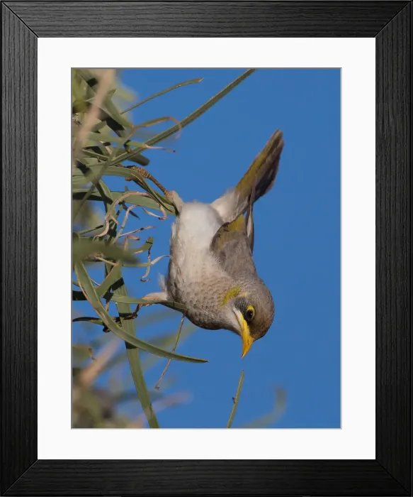 Framed Print : Picture No. 11992792 Framed Print : Picture No. 11992792
