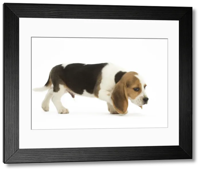Framed Print : Picture No. 11991652 Framed Print : Picture No. 11991652
