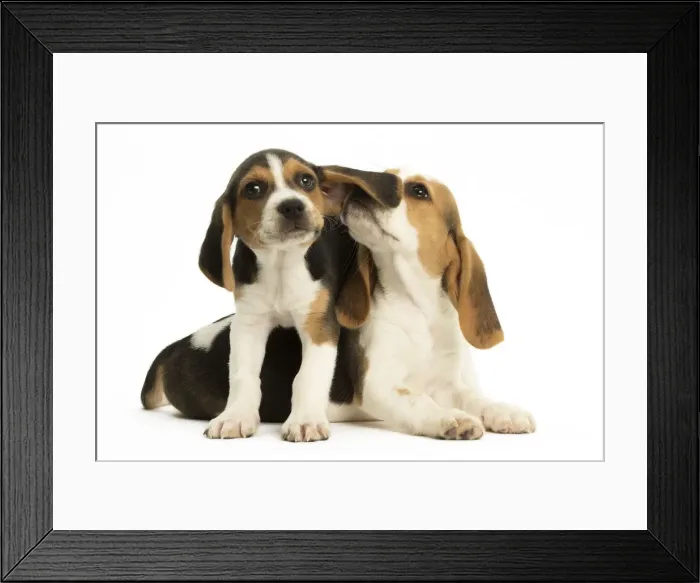 Framed Print : Picture No. 11991659 Framed Print : Picture No. 11991659