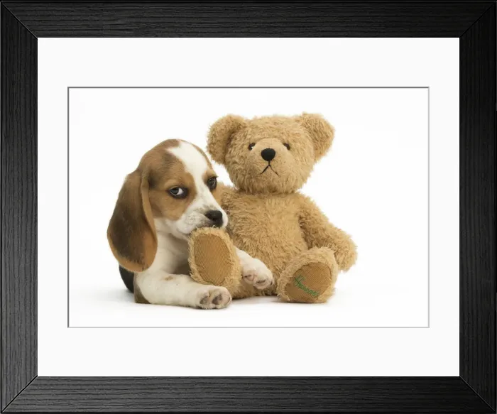 Framed Print : Picture No. 11991666 Framed Print : Picture No. 11991666