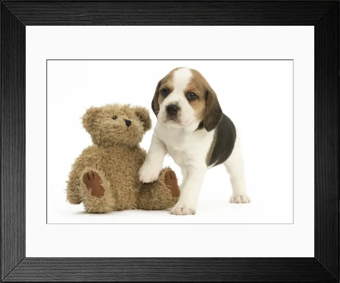 Framed Print : Picture No. 11991673 Framed Print : Picture No. 11991673