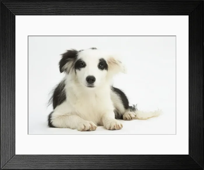 Framed Print : Picture No. 11991679 Framed Print : Picture No. 11991679