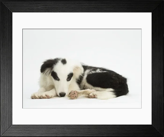 Framed Print : Picture No. 11991681 Framed Print : Picture No. 11991681
