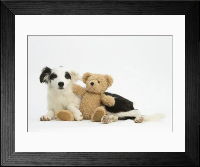 Framed Print : Picture No. 11991683 Framed Print : Picture No. 11991683