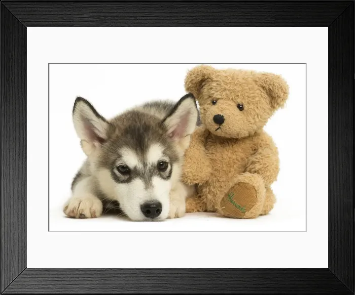 Framed Print : Picture No. 11991692 Framed Print : Picture No. 11991692