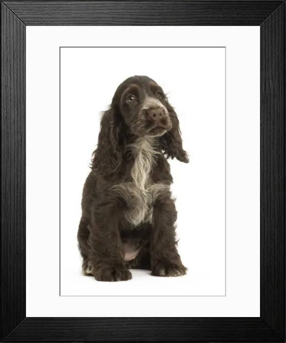 Framed Print : Picture No. 11991695 Framed Print : Picture No. 11991695