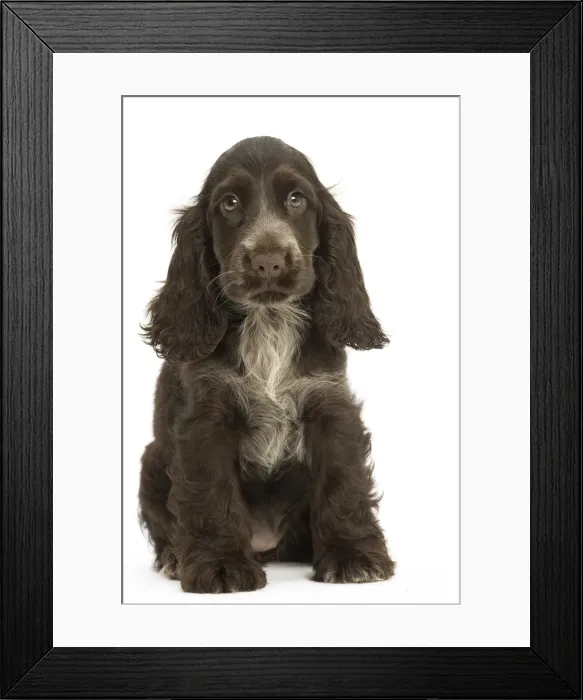 Framed Print : Picture No. 11991697 Framed Print : Picture No. 11991697