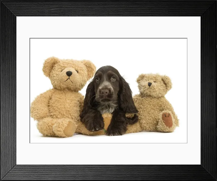Framed Print : Picture No. 11991699 Framed Print : Picture No. 11991699