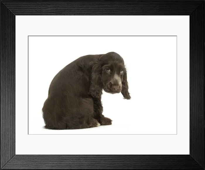 Framed Print : Picture No. 11991701 Framed Print : Picture No. 11991701