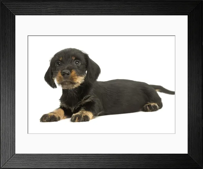 Framed Print : Picture No. 11991703 Framed Print : Picture No. 11991703