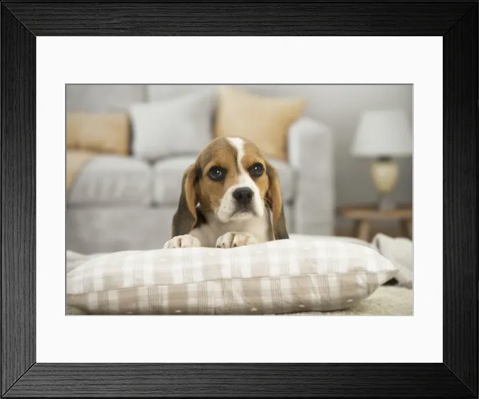 Framed Print : Picture No. 11991706 Framed Print : Picture No. 11991706