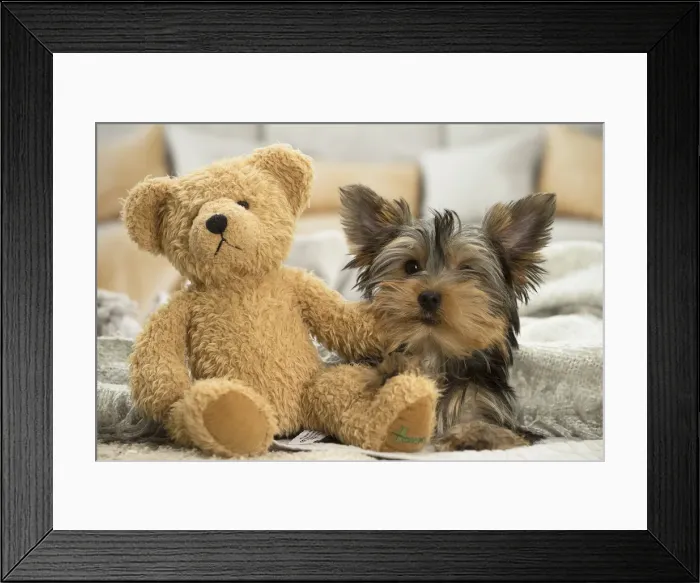Framed Print : Picture No. 11991721 Framed Print : Picture No. 11991721
