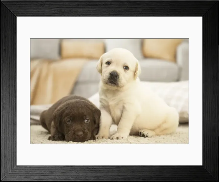 Framed Print : Picture No. 11991728 Framed Print : Picture No. 11991728