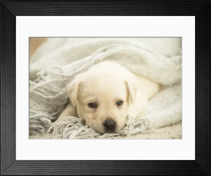Framed Print : Picture No. 11991734 Framed Print : Picture No. 11991734