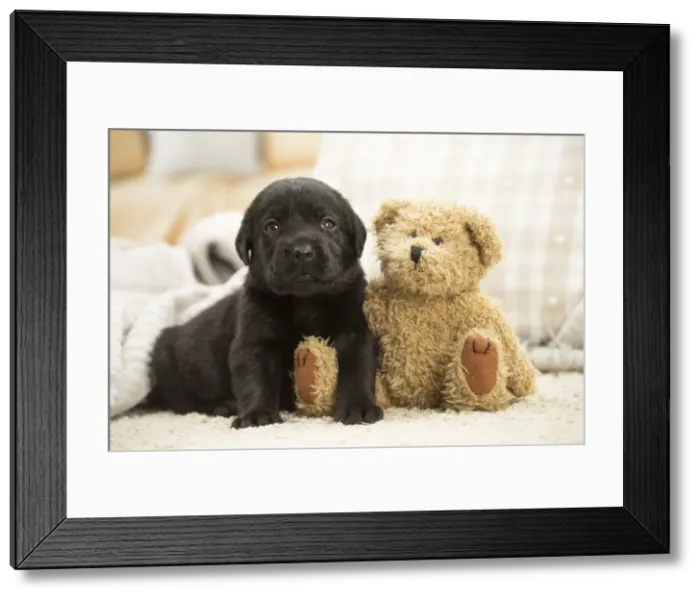 Framed Print : Picture No. 11991745 Framed Print : Picture No. 11991745