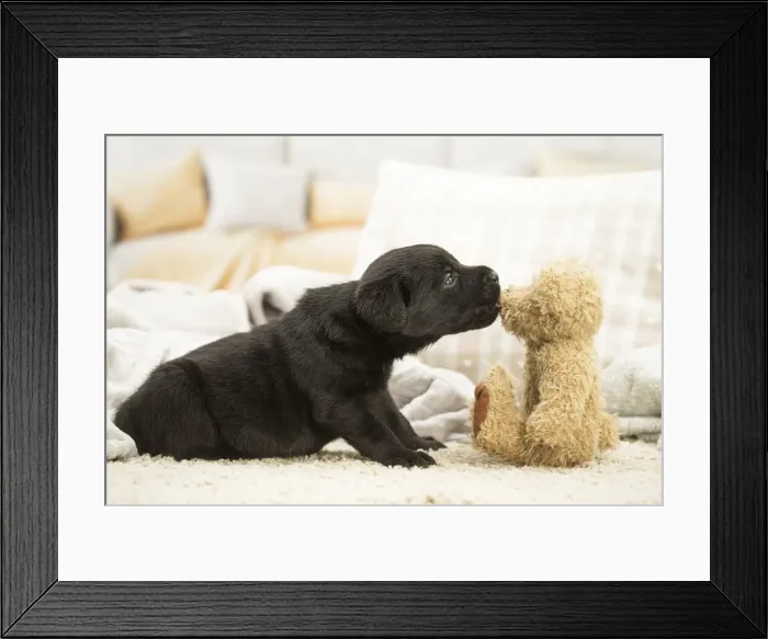 Framed Print : Picture No. 11991746 Framed Print : Picture No. 11991746