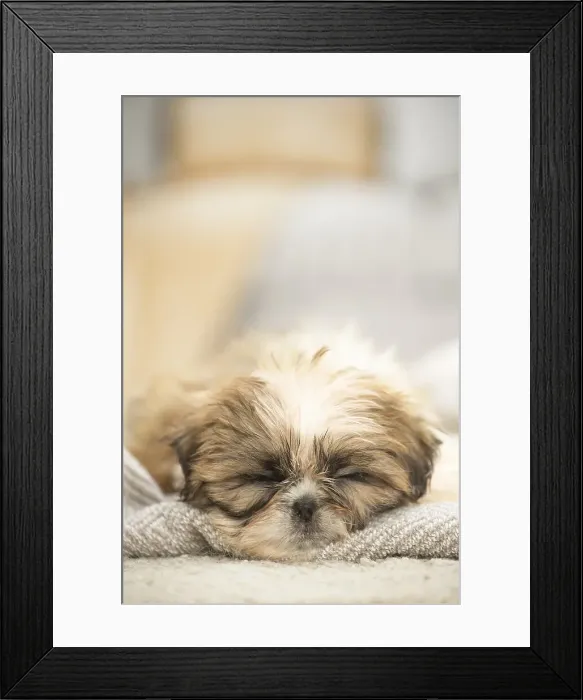 Framed Print : Picture No. 11991764 Framed Print : Picture No. 11991764