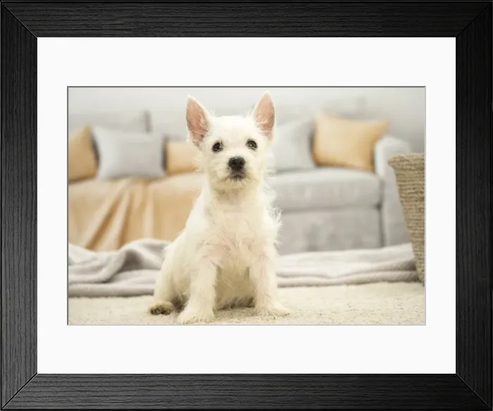 Framed Print : Picture No. 11991781 Framed Print : Picture No. 11991781