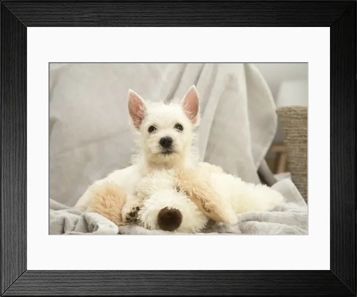 Framed Print : Picture No. 11991789 Framed Print : Picture No. 11991789