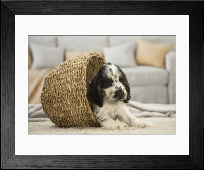 Framed Print : Picture No. 11991802 Framed Print : Picture No. 11991802