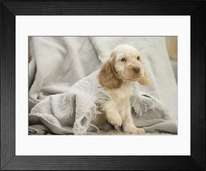 Framed Print : Picture No. 11991805 Framed Print : Picture No. 11991805