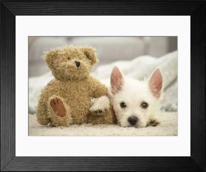 Framed Print : Picture No. 11991808 Framed Print : Picture No. 11991808
