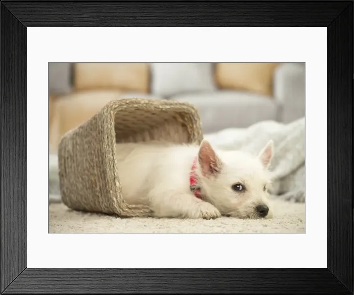 Framed Print : Picture No. 11991810 Framed Print : Picture No. 11991810