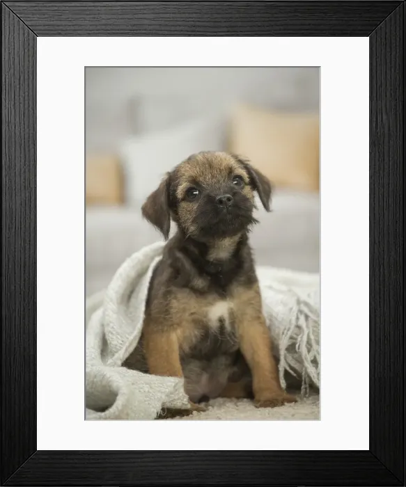 Framed Print : Picture No. 11991814 Framed Print : Picture No. 11991814