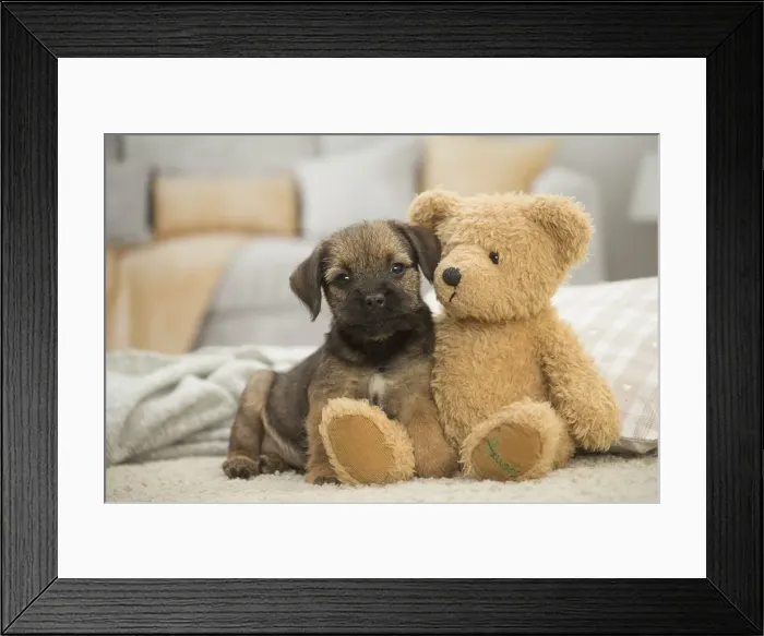 Framed Print : Picture No. 11991816 Framed Print : Picture No. 11991816
