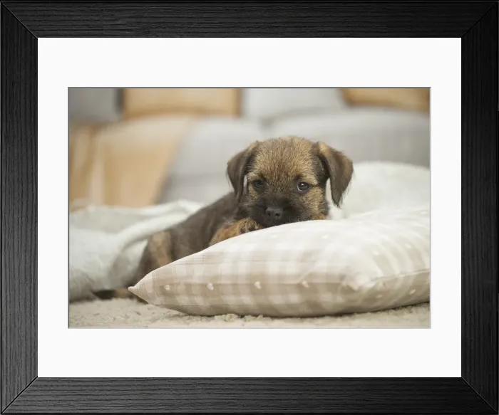 Framed Print : Picture No. 11991817 Framed Print : Picture No. 11991817