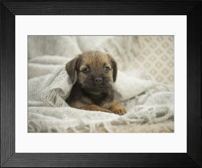 Framed Print : Picture No. 11991820 Framed Print : Picture No. 11991820