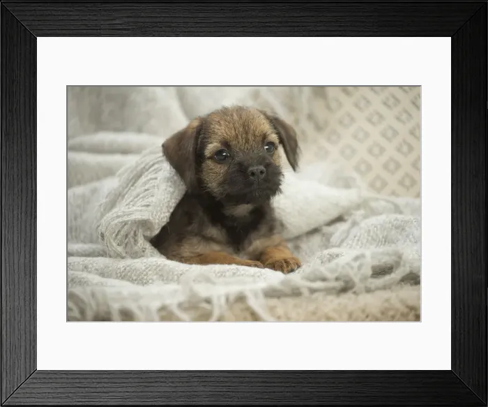 Framed Print : Picture No. 11991821 Framed Print : Picture No. 11991821