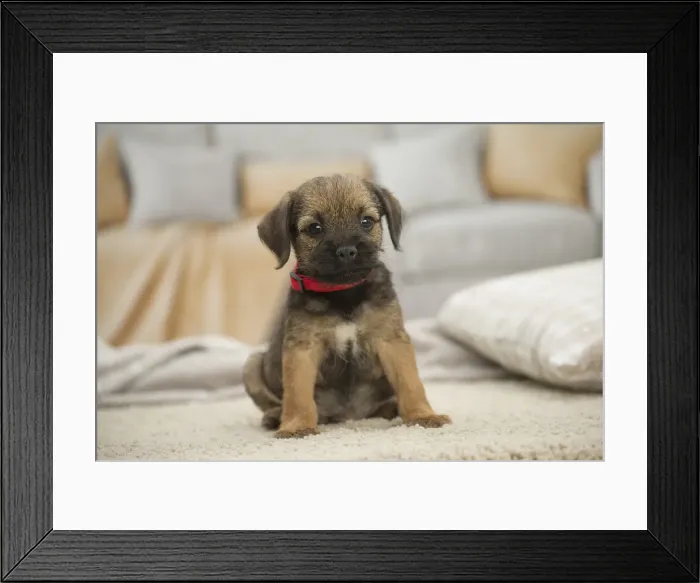 Framed Print : Picture No. 11991824 Framed Print : Picture No. 11991824