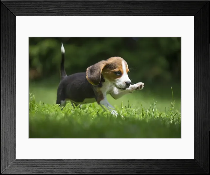Framed Print : Picture No. 11991853 Framed Print : Picture No. 11991853