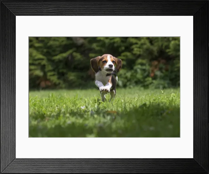 Framed Print : Picture No. 11991856 Framed Print : Picture No. 11991856