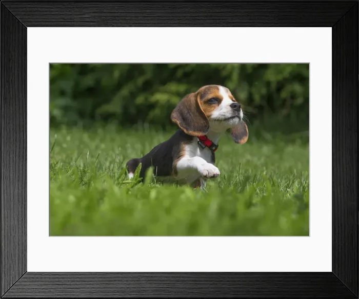Framed Print : Picture No. 11991858 Framed Print : Picture No. 11991858