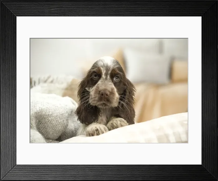 Framed Print : Picture No. 11991871 Framed Print : Picture No. 11991871