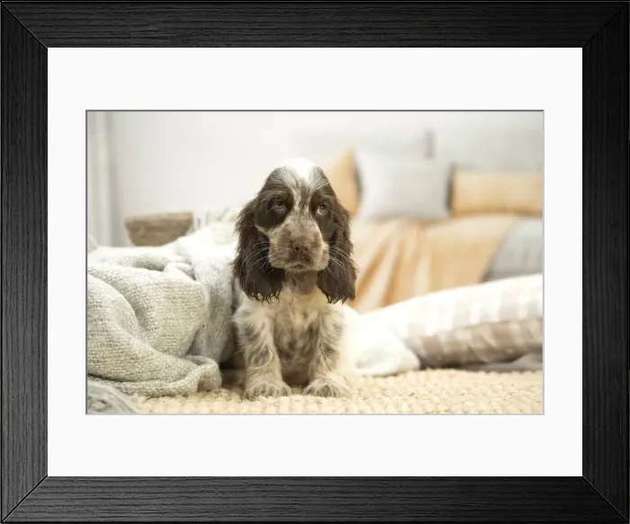 Framed Print : Picture No. 11991873 Framed Print : Picture No. 11991873