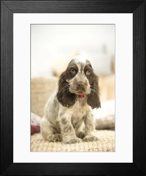 Framed Print : Picture No. 11991874 Framed Print : Picture No. 11991874