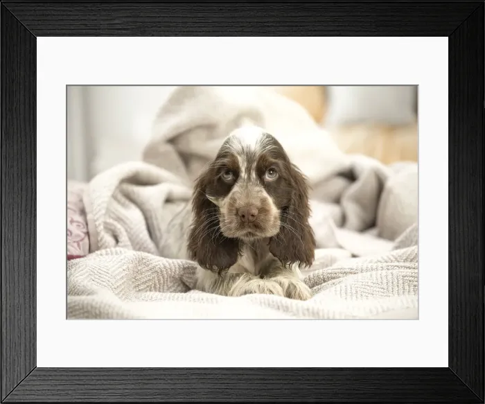 Framed Print : Picture No. 11991875 Framed Print : Picture No. 11991875
