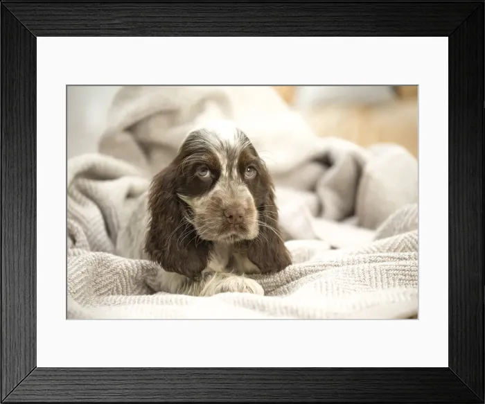 Framed Print : Picture No. 11991876 Framed Print : Picture No. 11991876