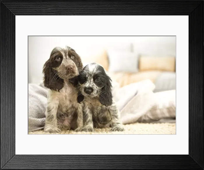 Framed Print : Picture No. 11991877 Framed Print : Picture No. 11991877