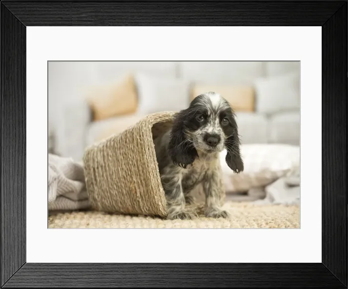 Framed Print : Picture No. 11991880 Framed Print : Picture No. 11991880