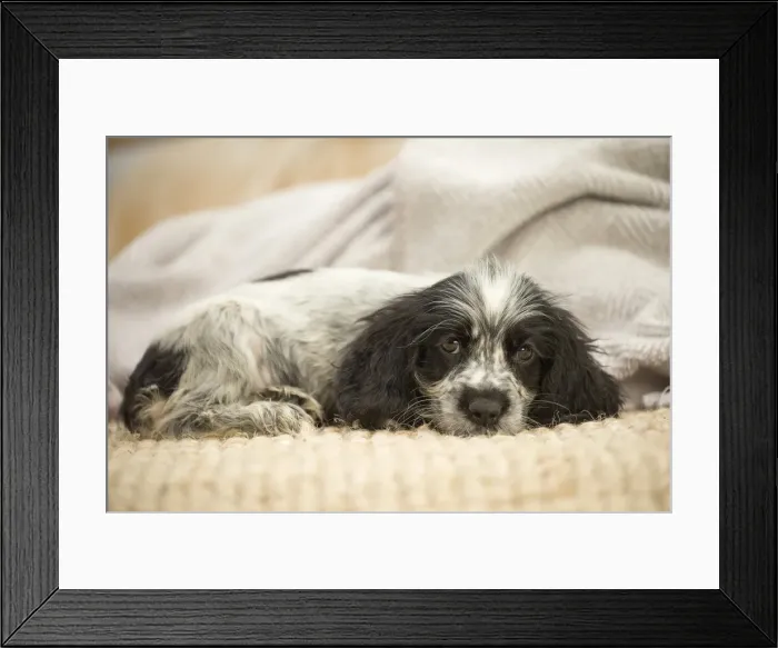 Framed Print : Picture No. 11991883 Framed Print : Picture No. 11991883