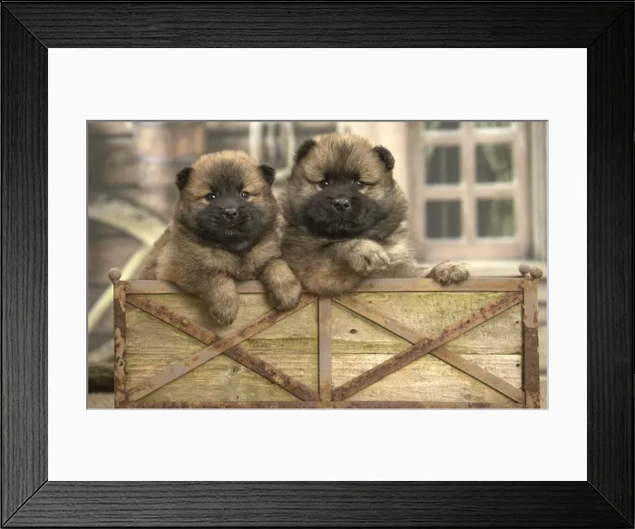 Framed Print : Picture No. 11991888 Framed Print : Picture No. 11991888