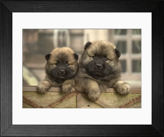 Framed Print : Picture No. 11991889 Framed Print : Picture No. 11991889