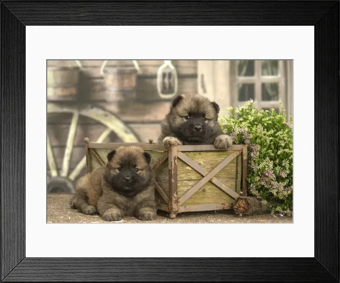 Framed Print : Picture No. 11991891 Framed Print : Picture No. 11991891