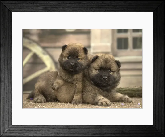 Framed Print : Picture No. 11991892 Framed Print : Picture No. 11991892